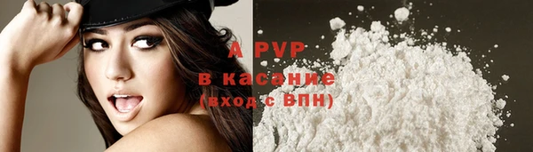 прущие грибы Балабаново