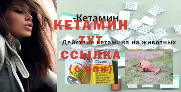 прущие грибы Балабаново