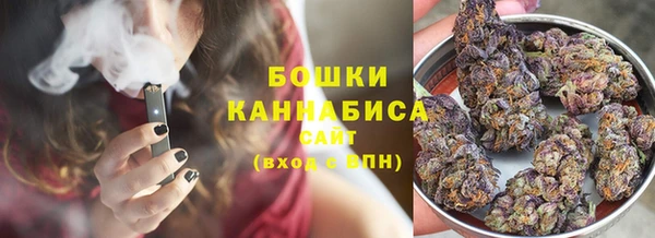 прущие грибы Балабаново