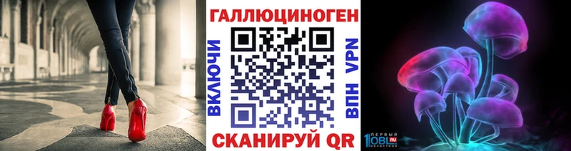 сколько стоит  Бугуруслан  Псилоцибиновые грибы Cubensis 